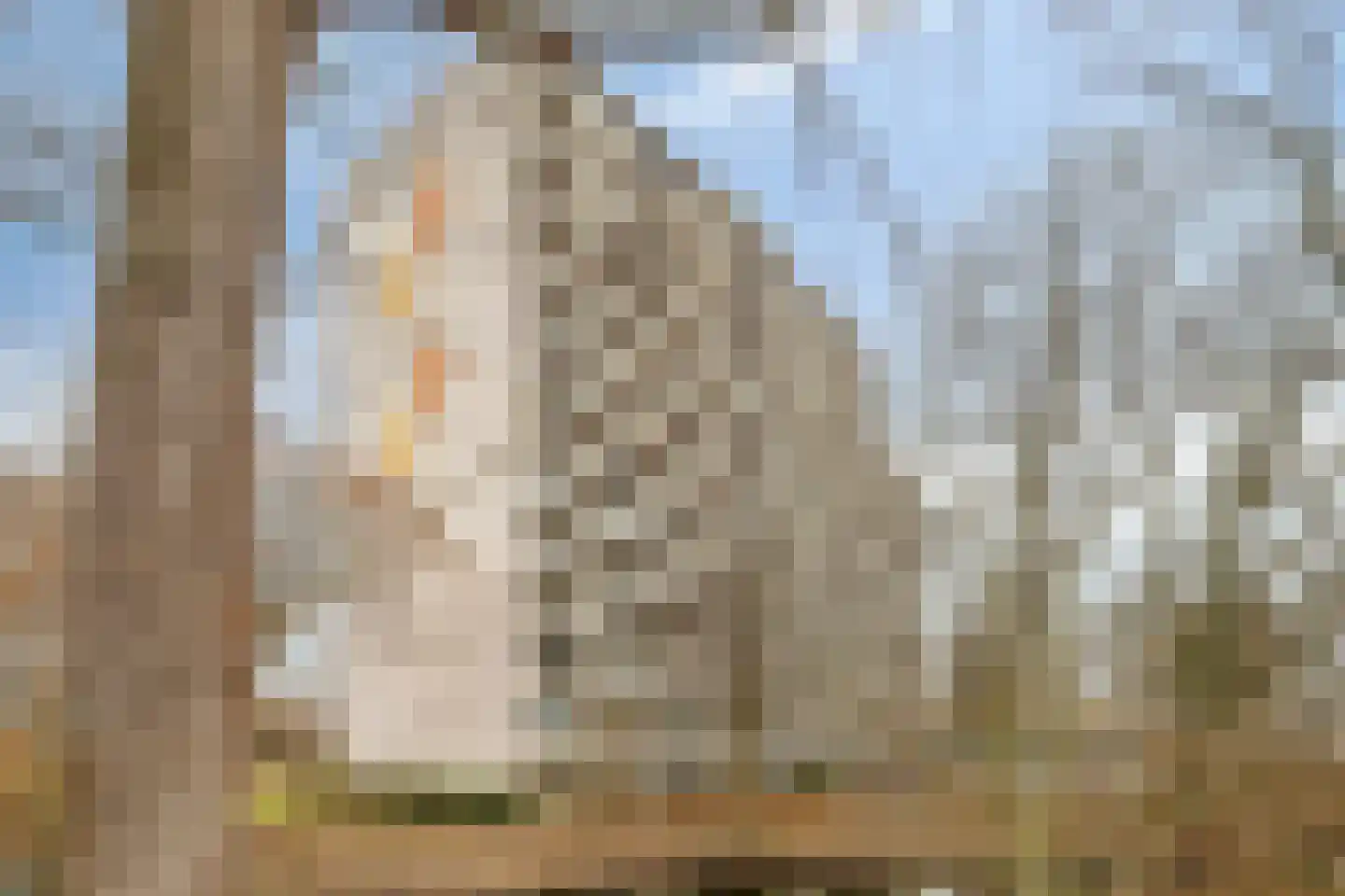 Akkerwinde 15 Capelle aan den IJssel thumbnail 36