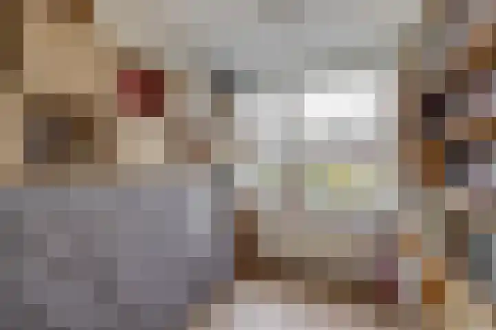 Akkerwinde 15 Waddinxveen thumbnail 19