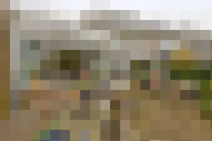 Akkerwinde 15 Waddinxveen thumbnail 25