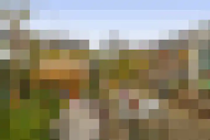 Akkerwinde 15 Waddinxveen thumbnail 26