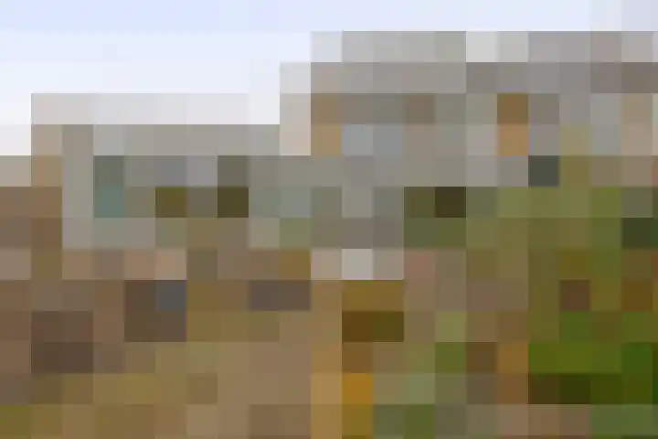 Akkerwinde 15 Waddinxveen thumbnail 28