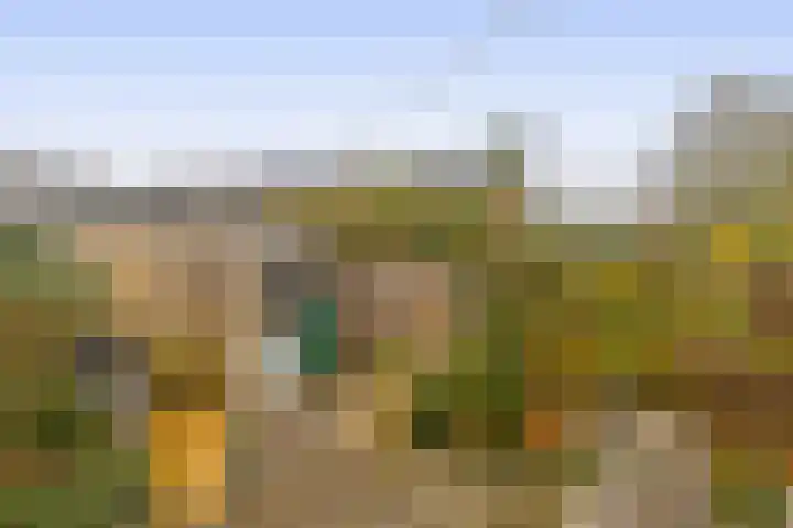 Akkerwinde 15 Waddinxveen thumbnail 29