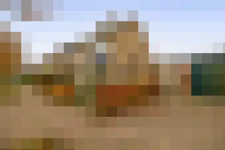 Akkerwinde 15 Waddinxveen thumbnail 32