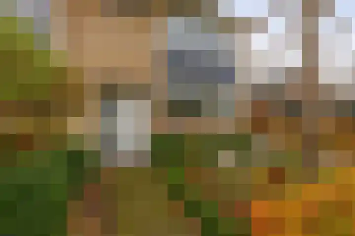 Akkerwinde 15 Waddinxveen thumbnail 33