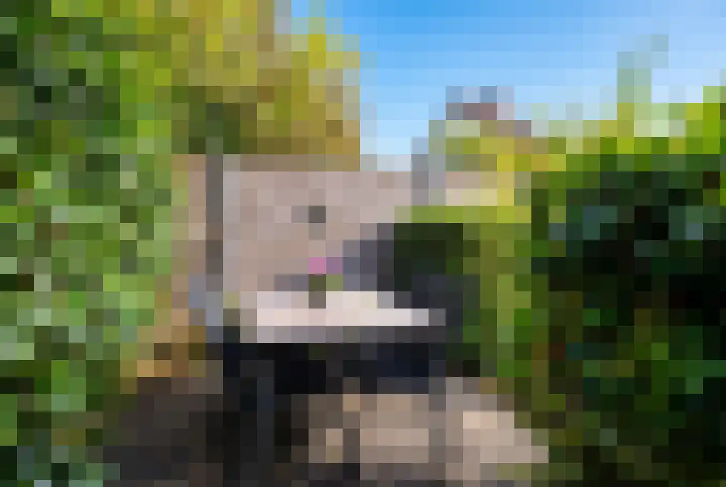Akkerwinde 16 Nijverdal thumbnail 31