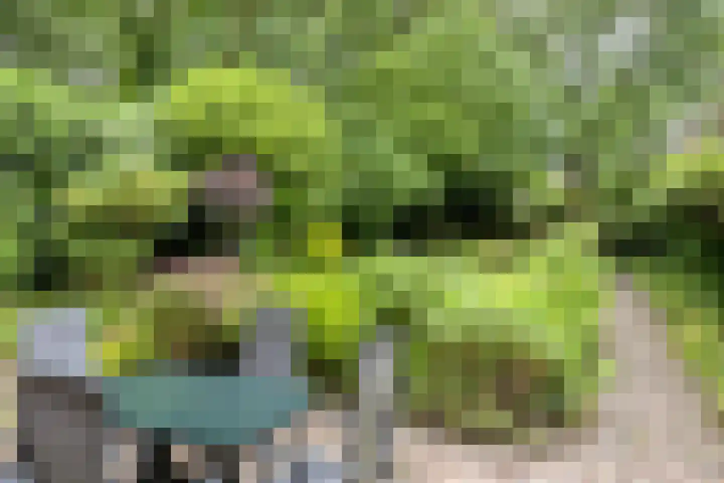 Akkerwinde 17 Lochem thumbnail 31