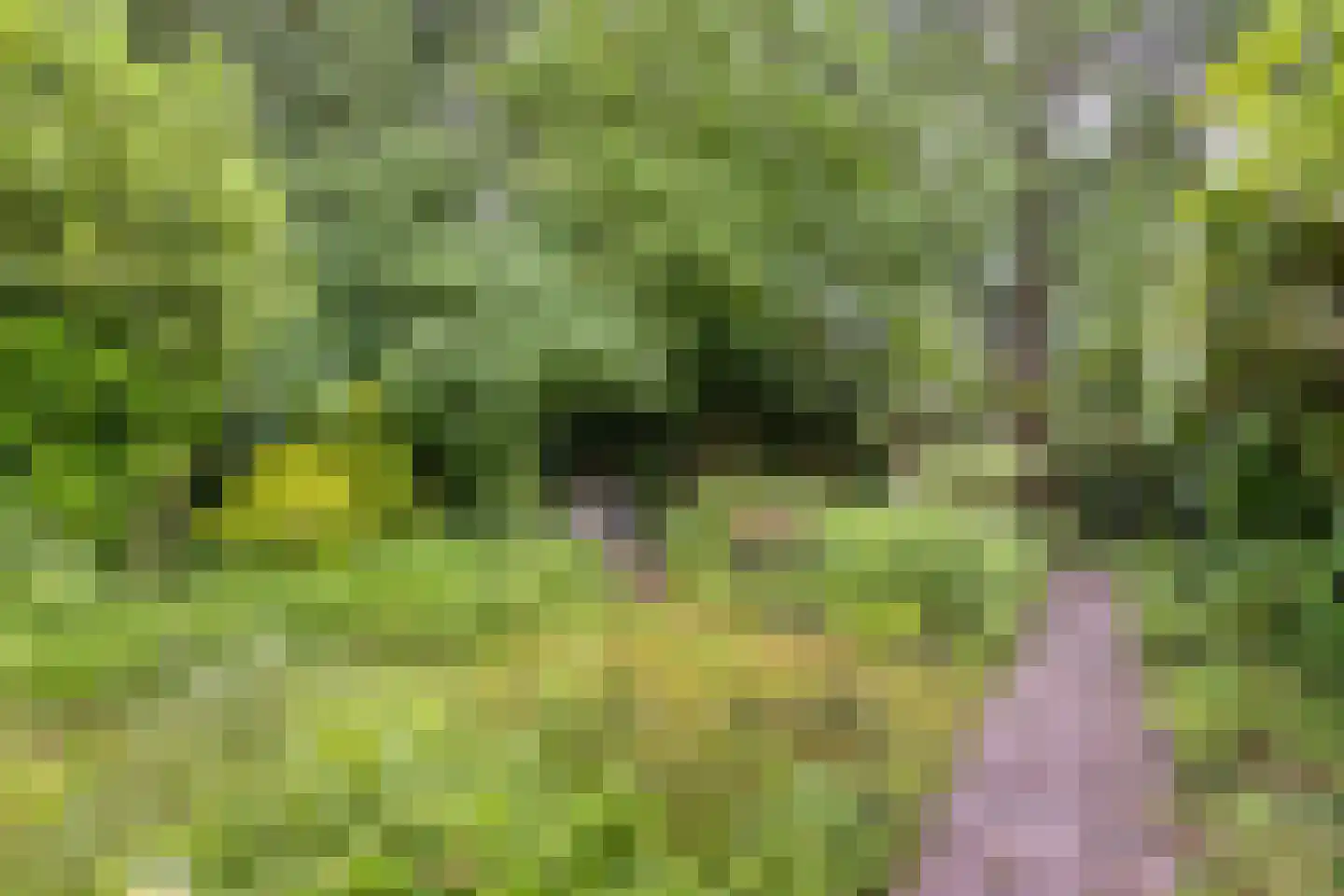 Akkerwinde 17 Lochem thumbnail 32