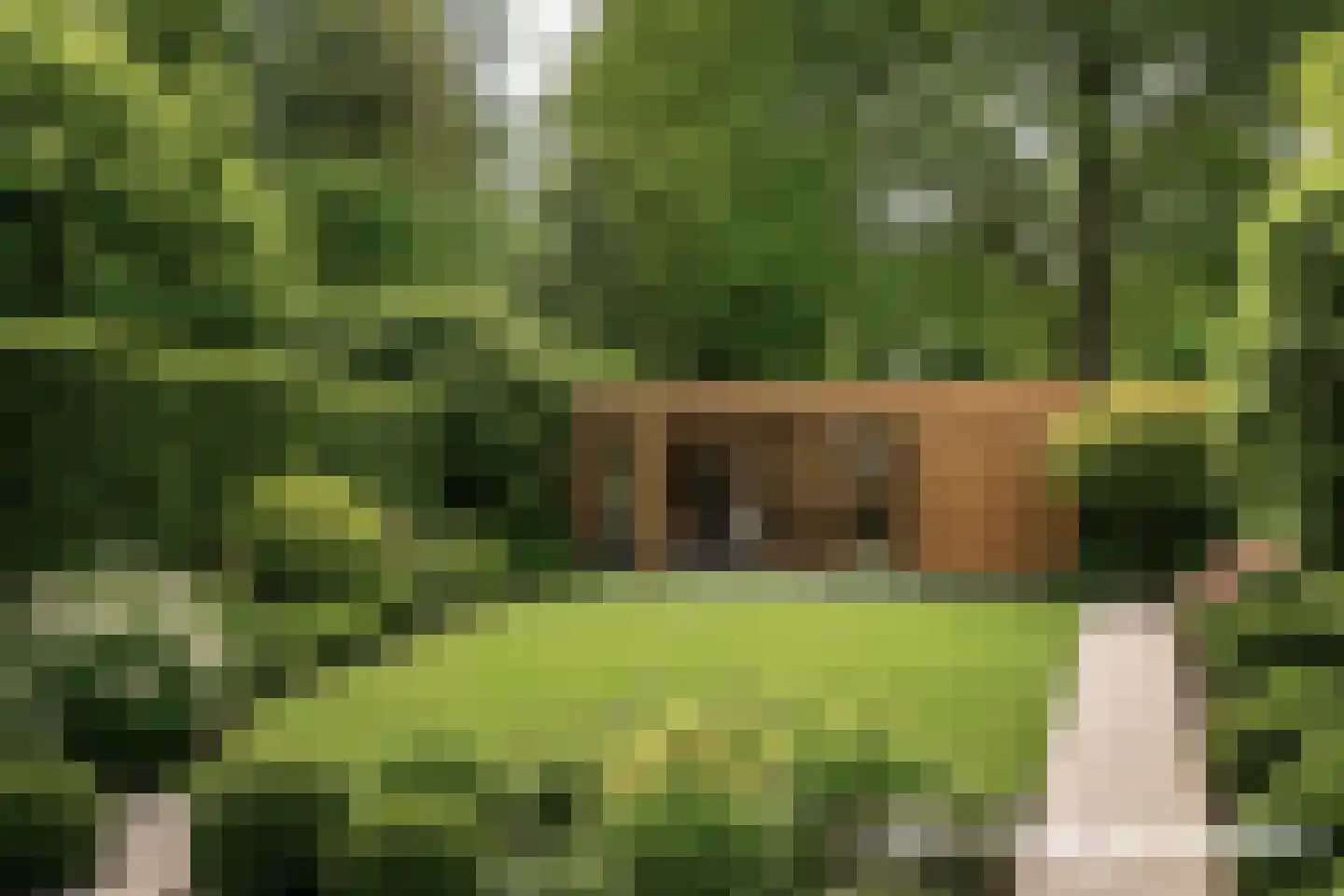 Akkerwinde 17 Lochem thumbnail 33