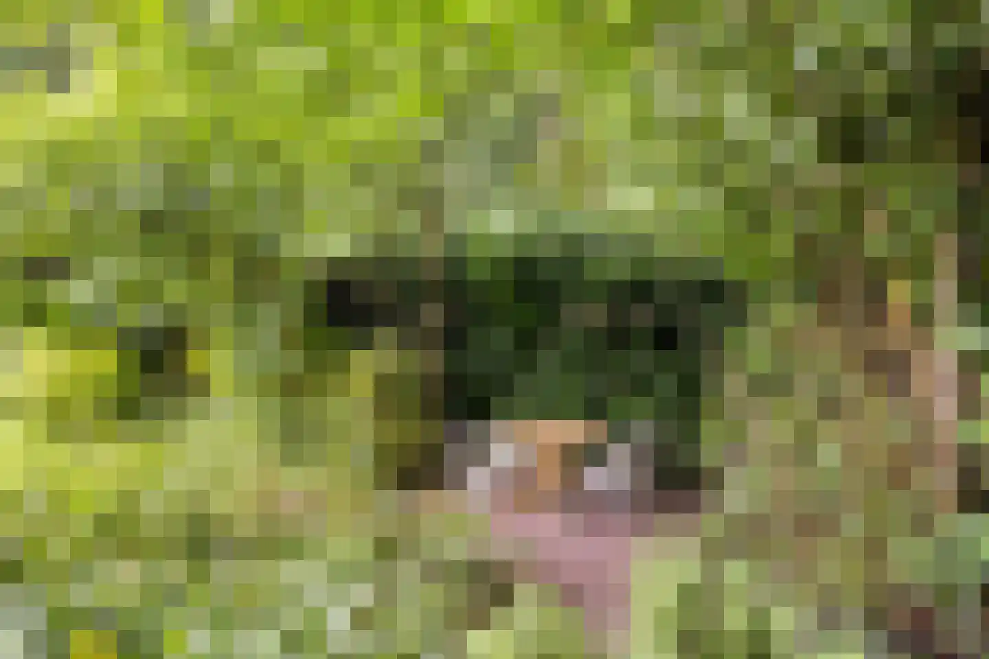 Akkerwinde 17 Lochem thumbnail 34