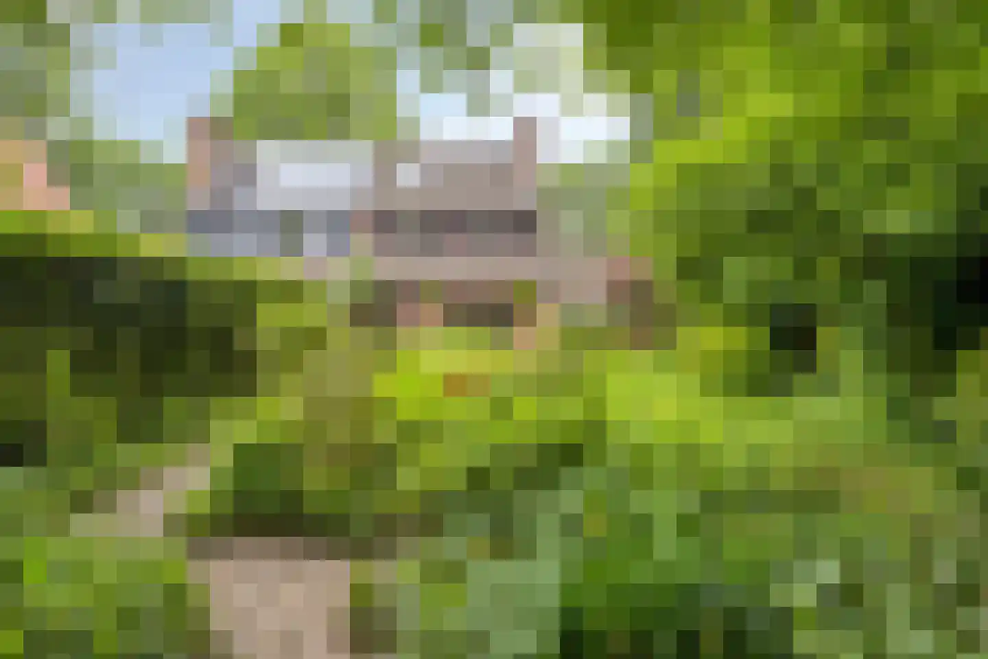 Akkerwinde 17 Lochem thumbnail 35