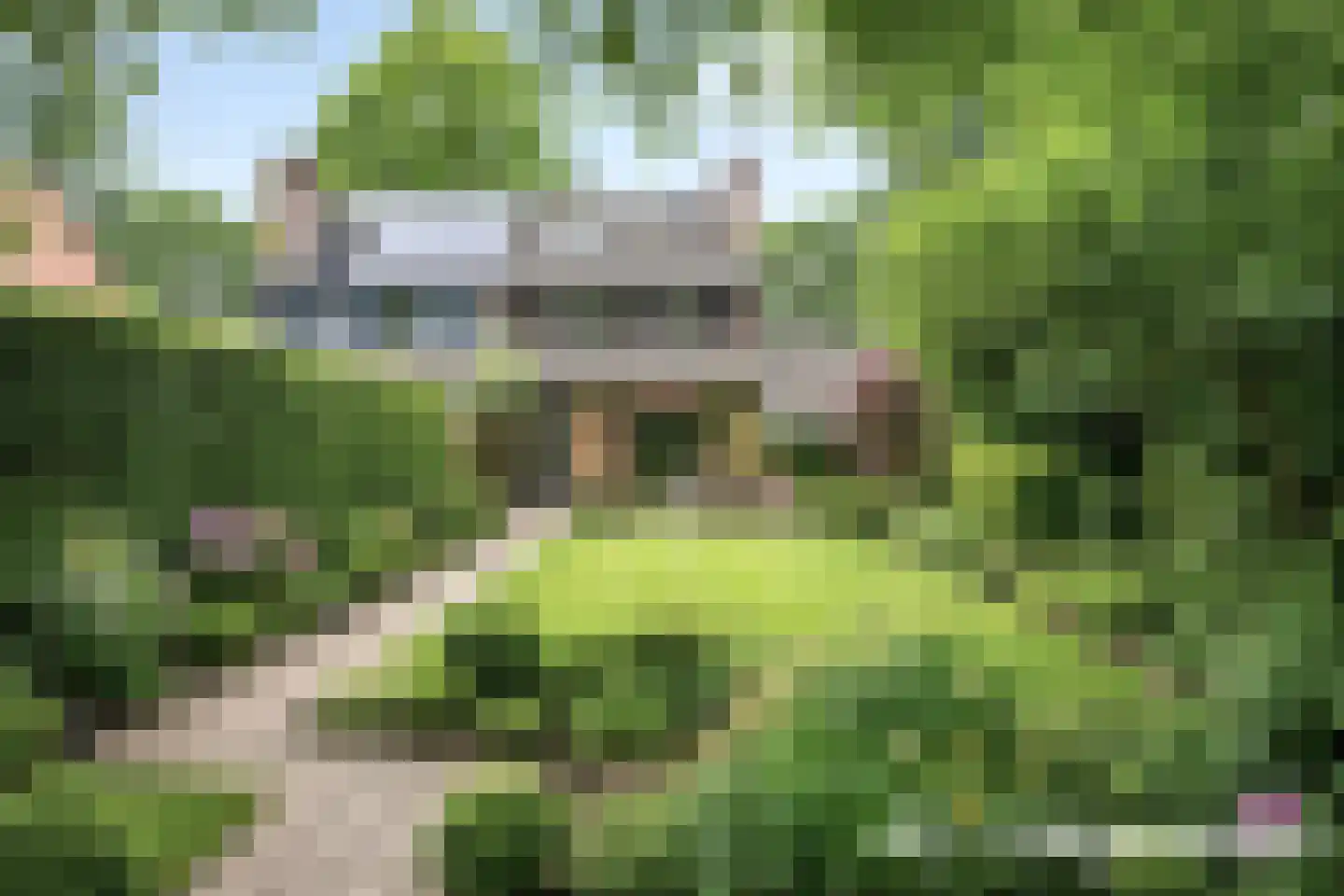 Akkerwinde 17 Lochem thumbnail 36