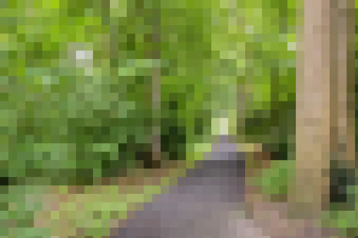 Akkerwinde 17 Lochem thumbnail 39