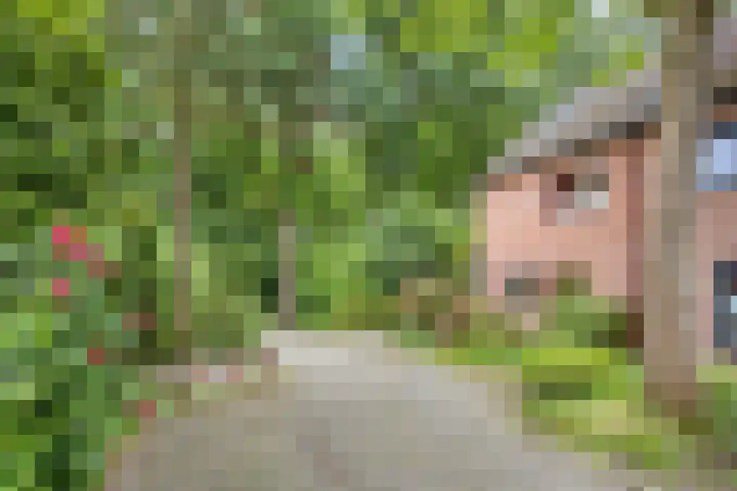 Akkerwinde 17 Lochem thumbnail 40