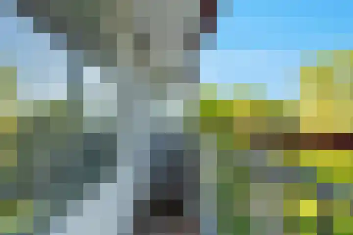 Akkerwinde 195 Capelle aan den IJssel thumbnail 26
