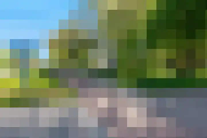 Akkerwinde 195 Capelle aan den IJssel thumbnail 32