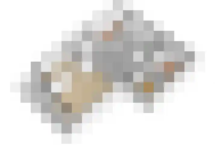 Akkerwinde 195 Capelle aan den IJssel thumbnail 34