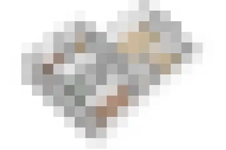 Akkerwinde 195 Capelle aan den IJssel thumbnail 35