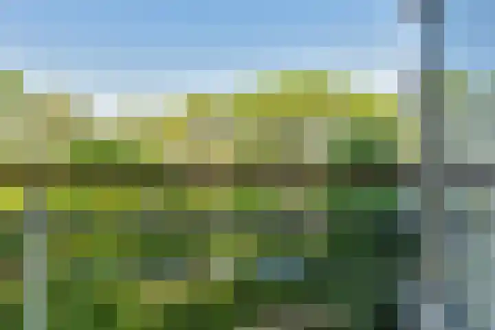 Akkerwinde 195 Capelle aan den IJssel thumbnail 4