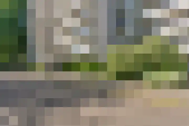 Akkerwinde 195 Capelle aan den IJssel thumbnail 5