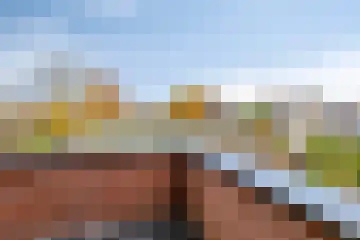Akkerwinde 2 Wanroij thumbnail 41