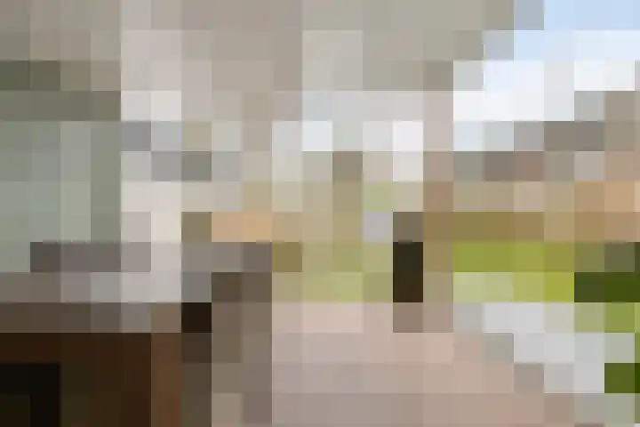 Akkerwinde 2 Wanroij thumbnail 5