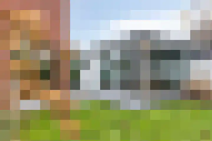 Akkerwinde 2 Wanroij thumbnail 6