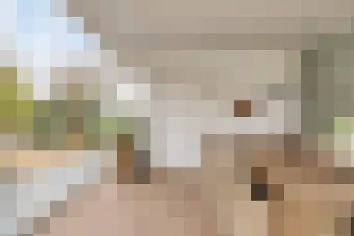 Akkerwinde 2 Wanroij thumbnail 60