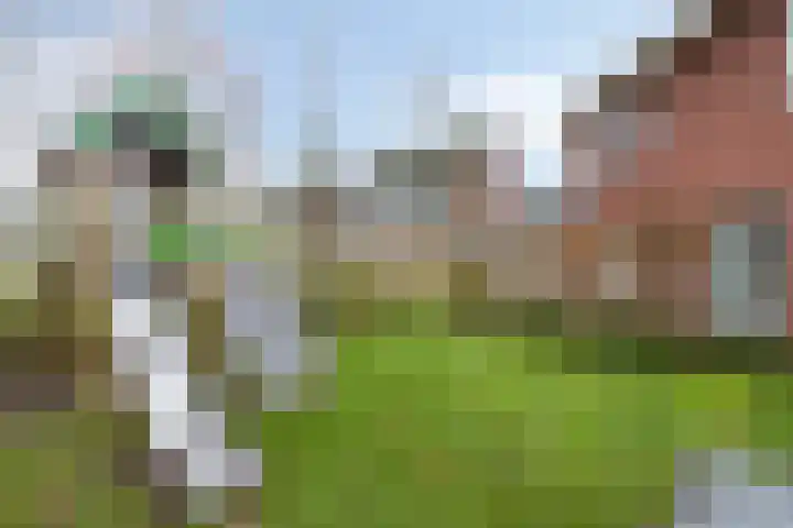 Akkerwinde 2 Wanroij thumbnail 61