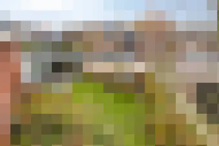 Akkerwinde 2 Wanroij thumbnail 62