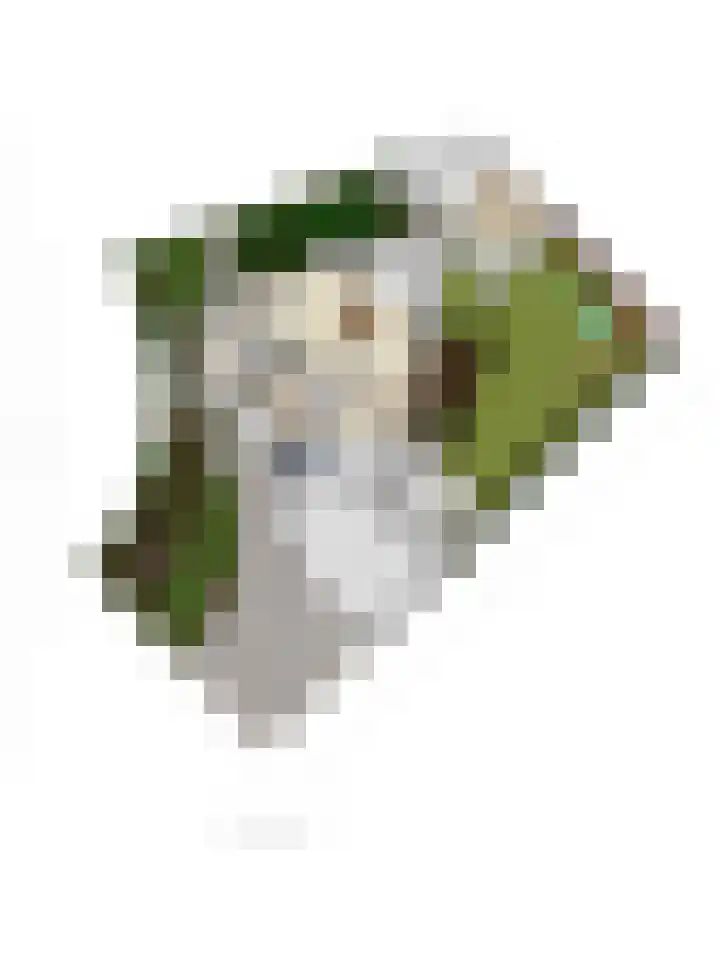 Akkerwinde 2 Wanroij thumbnail 68