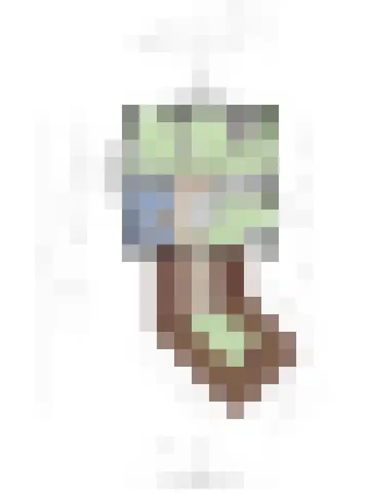 Akkerwinde 2 Wanroij thumbnail 70