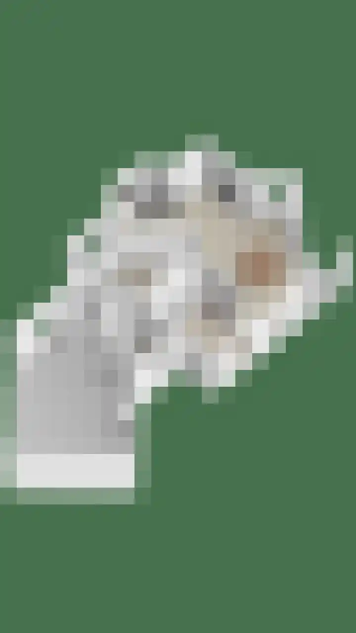 Akkerwinde 2 Wanroij thumbnail 72
