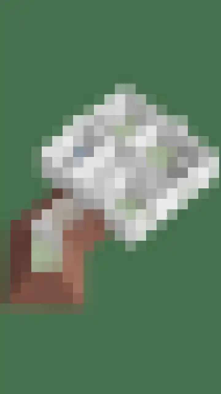 Akkerwinde 2 Wanroij thumbnail 73