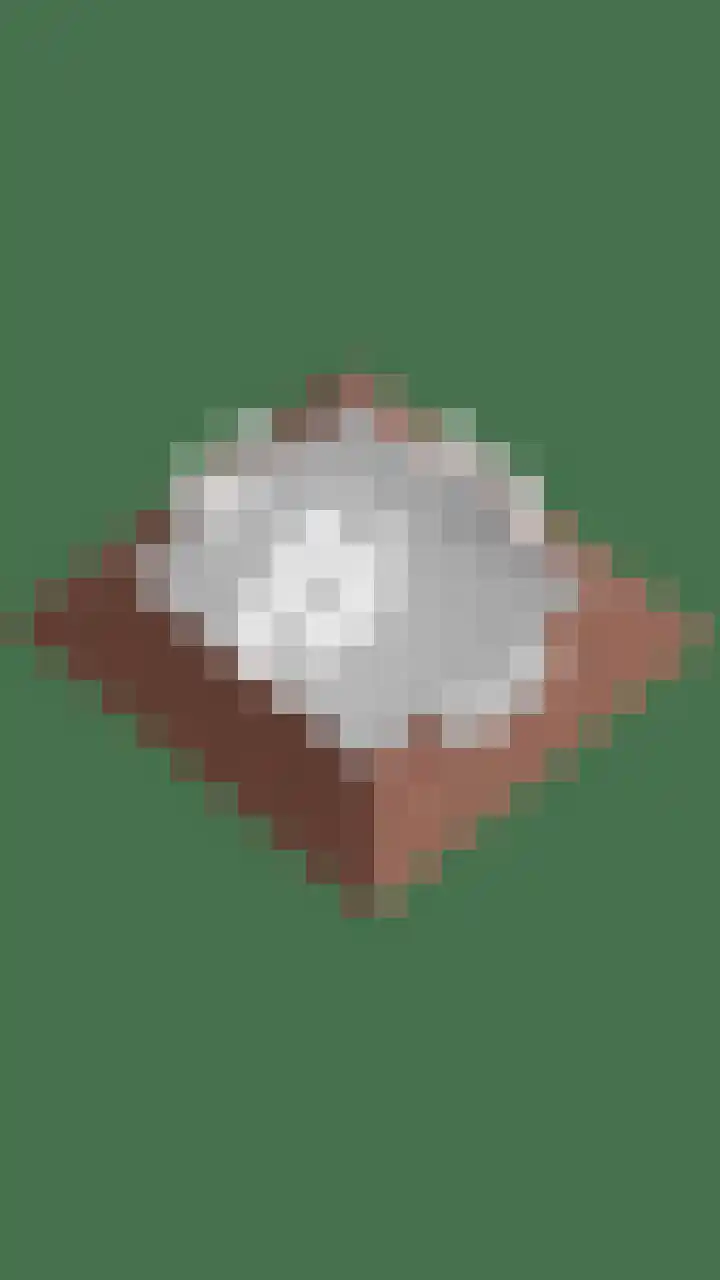 Akkerwinde 2 Wanroij thumbnail 74