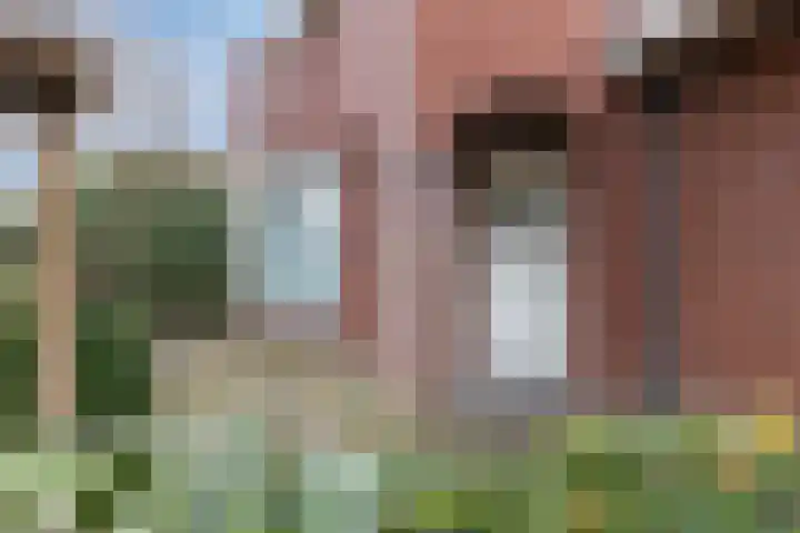 Akkerwinde 2 Wanroij thumbnail 8
