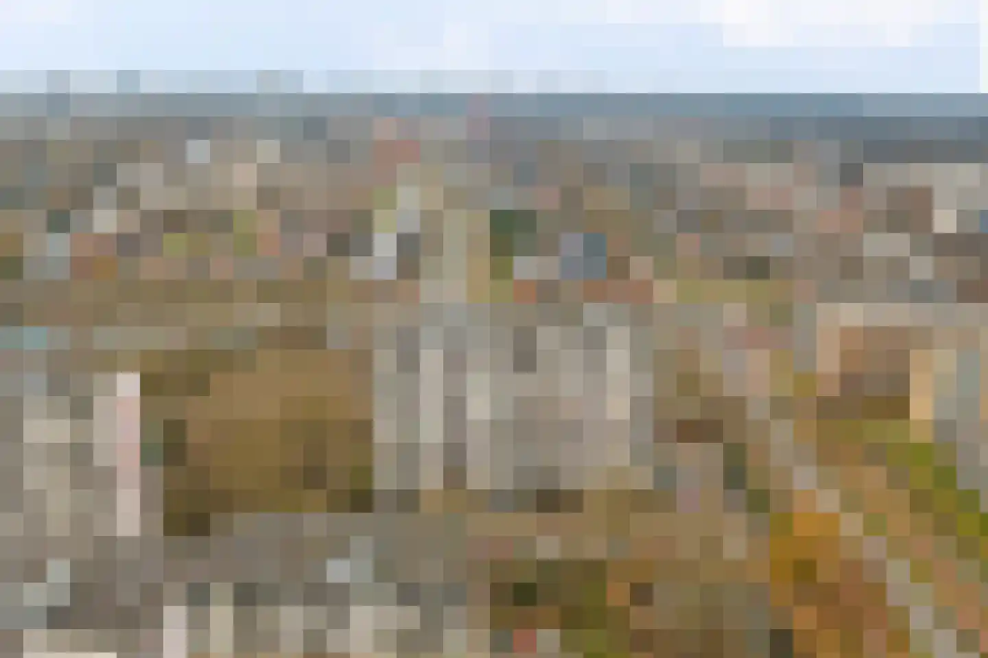 Akkerwinde 206 Capelle aan den IJssel thumbnail 28