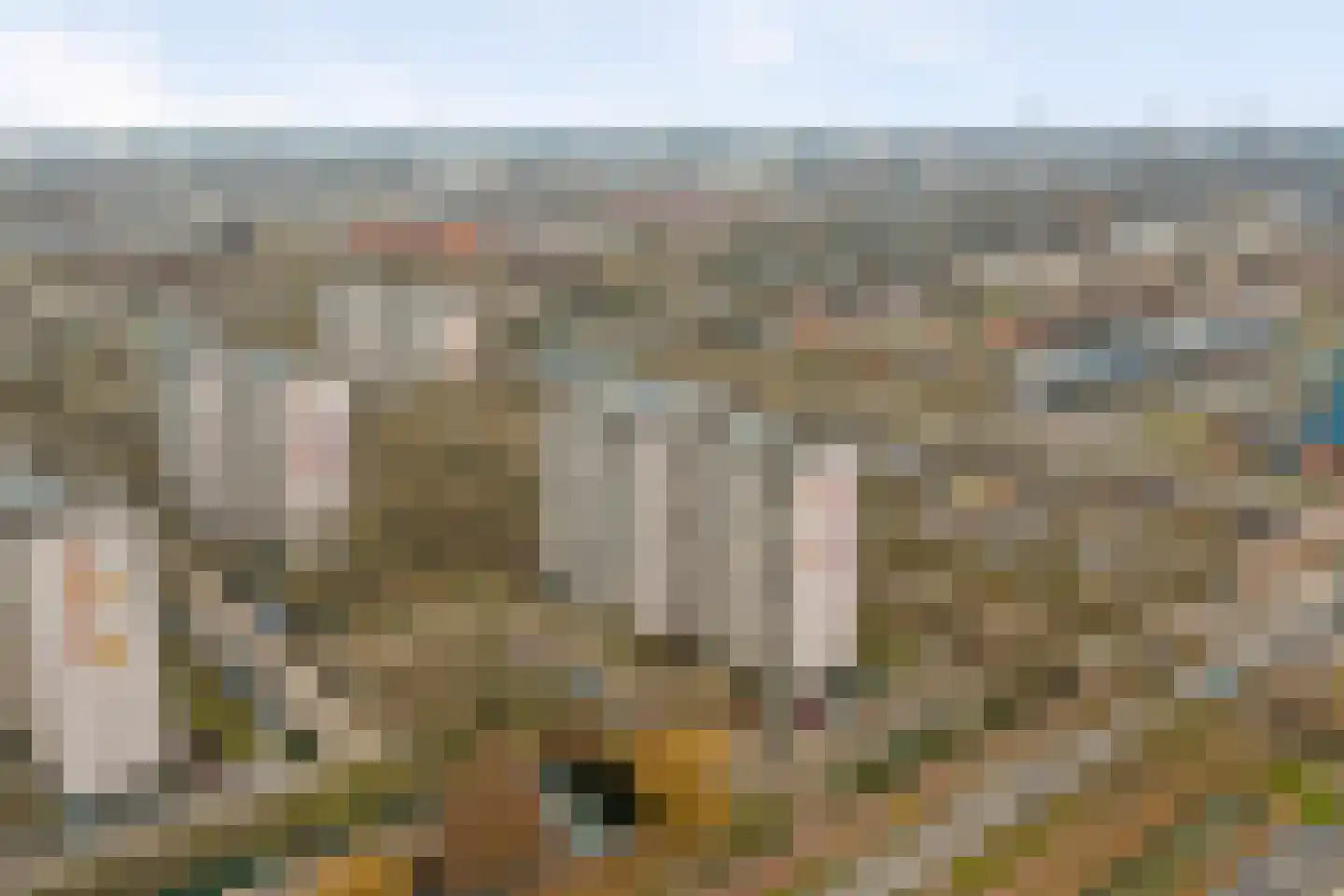 Akkerwinde 206 Capelle aan den IJssel thumbnail 29