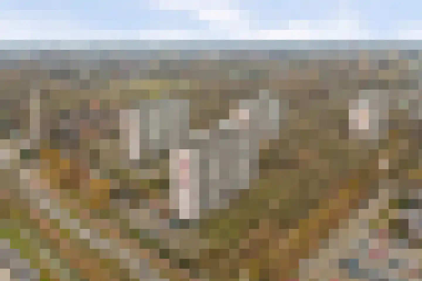 Akkerwinde 206 Capelle aan den IJssel thumbnail 30