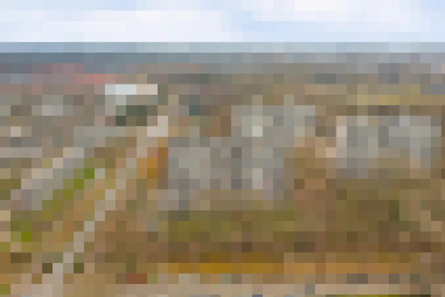 Akkerwinde 206 Capelle aan den IJssel thumbnail 31