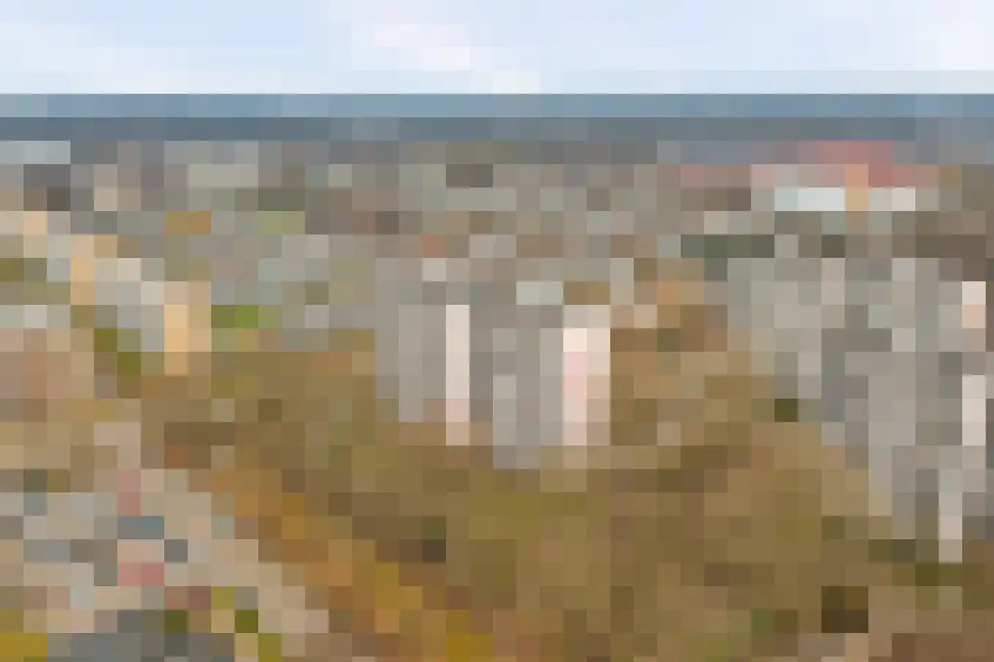 Akkerwinde 206 Capelle aan den IJssel thumbnail 32