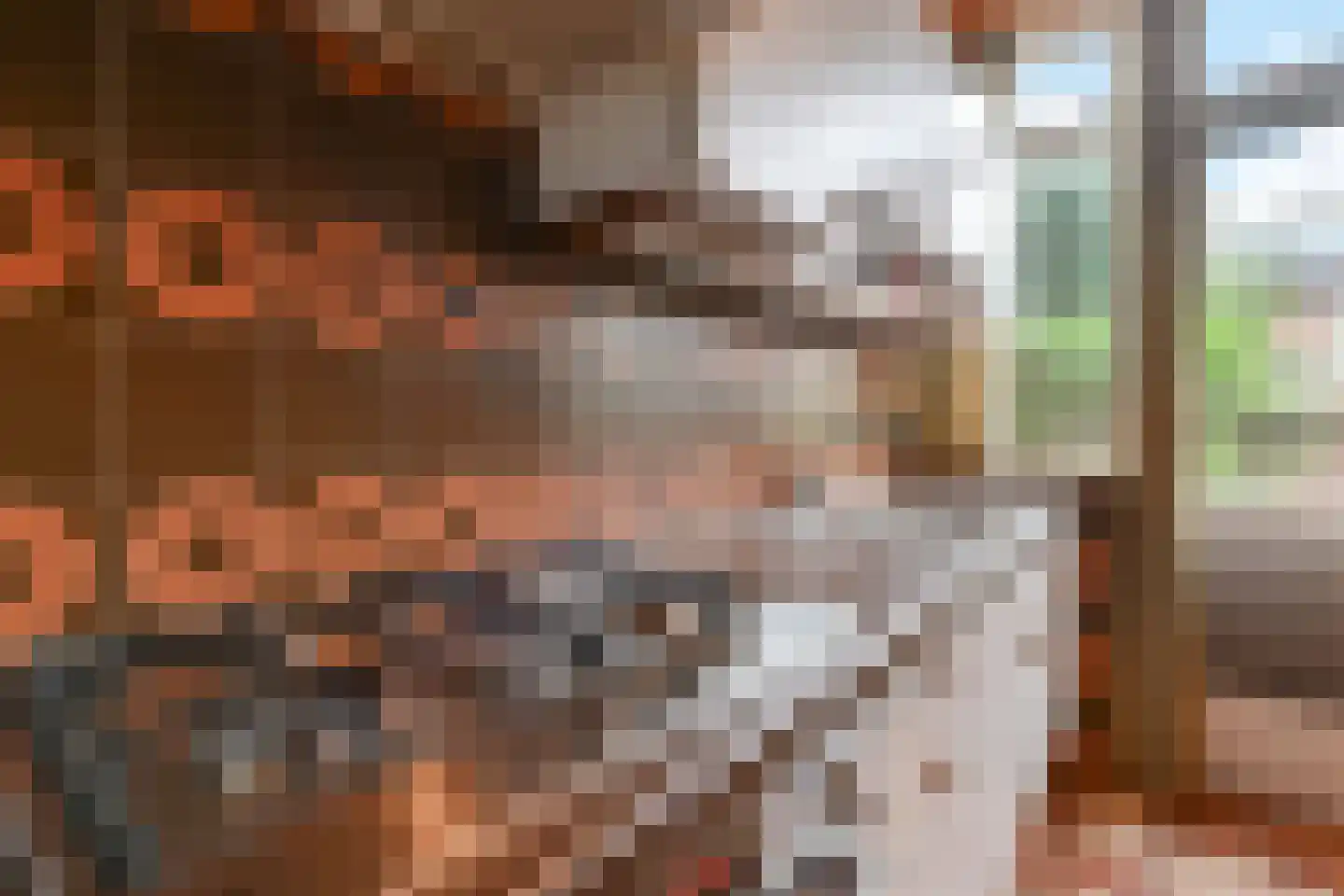 Akkerwinde 21 Waddinxveen thumbnail 11