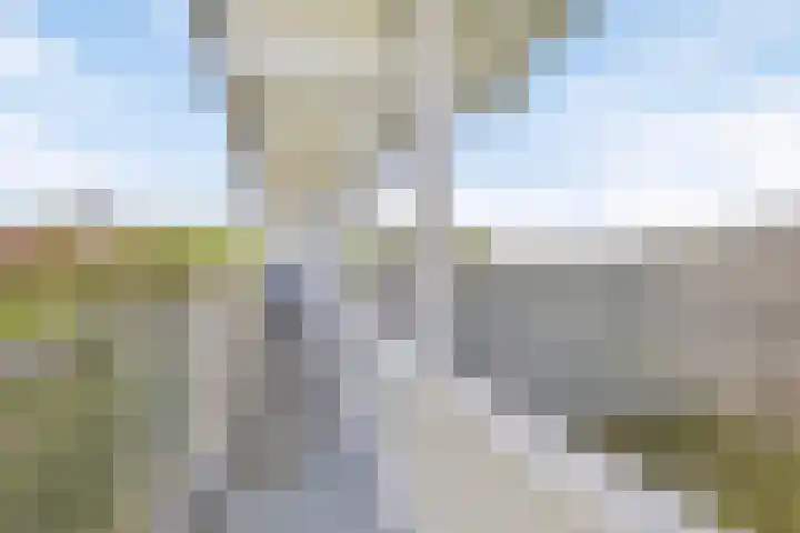 Akkerwinde 210 Capelle aan den IJssel thumbnail 10