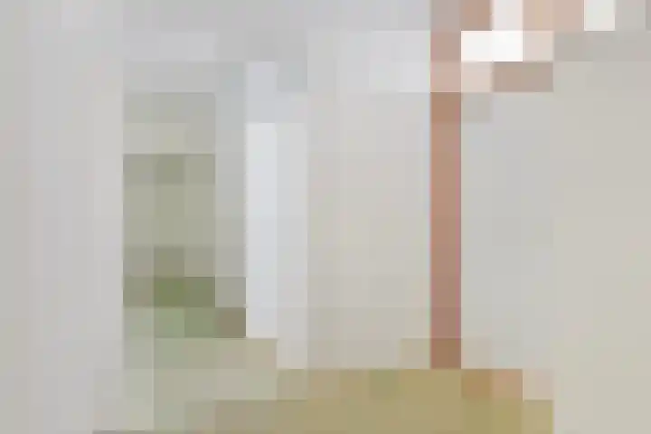 Akkerwinde 210 Capelle aan den IJssel thumbnail 21