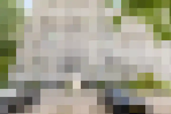 Akkerwinde 210 Capelle aan den IJssel thumbnail 26