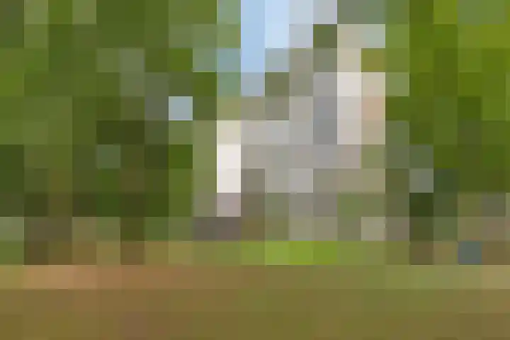 Akkerwinde 210 Capelle aan den IJssel thumbnail 29