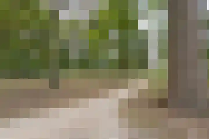 Akkerwinde 210 Capelle aan den IJssel thumbnail 30