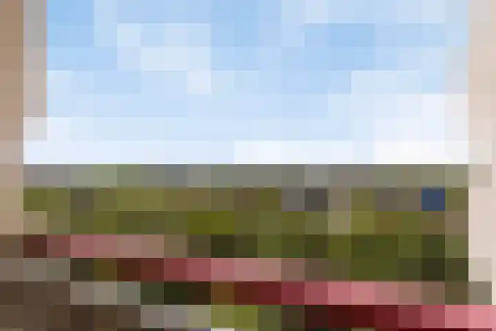Akkerwinde 210 Capelle aan den IJssel thumbnail 4