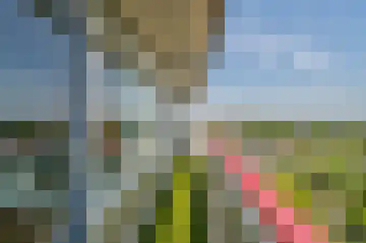 Akkerwinde 216 Capelle aan den IJssel thumbnail 16