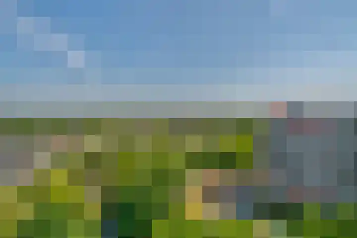 Akkerwinde 216 Capelle aan den IJssel thumbnail 22