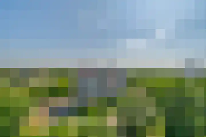 Akkerwinde 216 Capelle aan den IJssel thumbnail 23